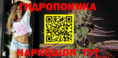 прущие грибы Кимры