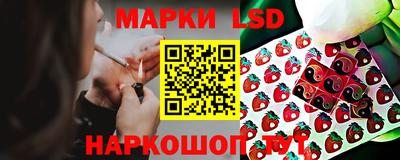 прущие грибы Кимры