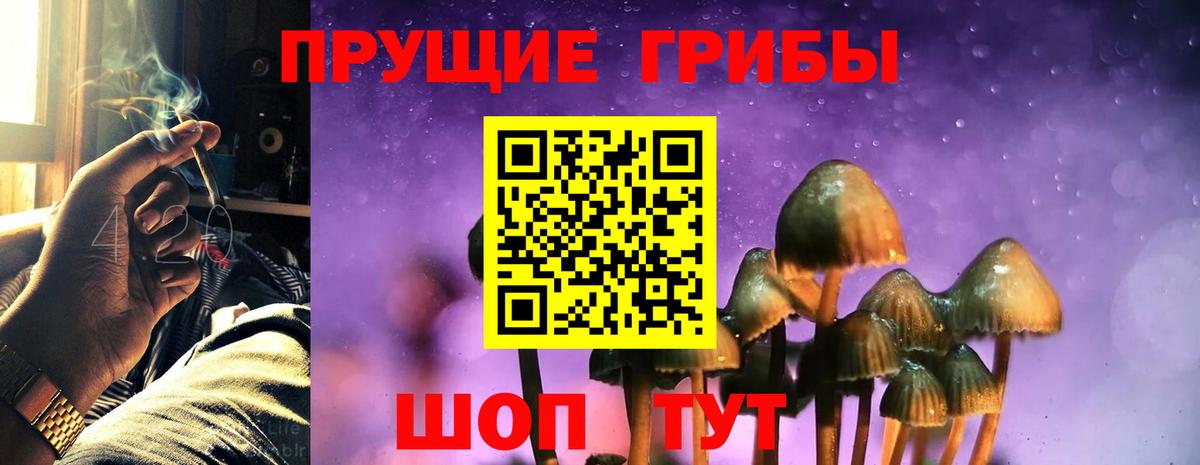 Галлюциногенные грибы Psilocybe  Вход с VPN  Галлюциногенные грибы Cubensis  Кириши 